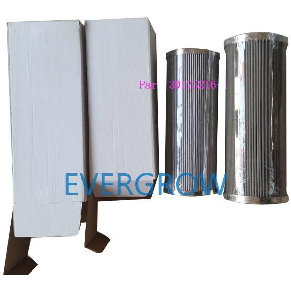 30111013-1 عنصر تصفية أجزاء محرك TDS العلوي