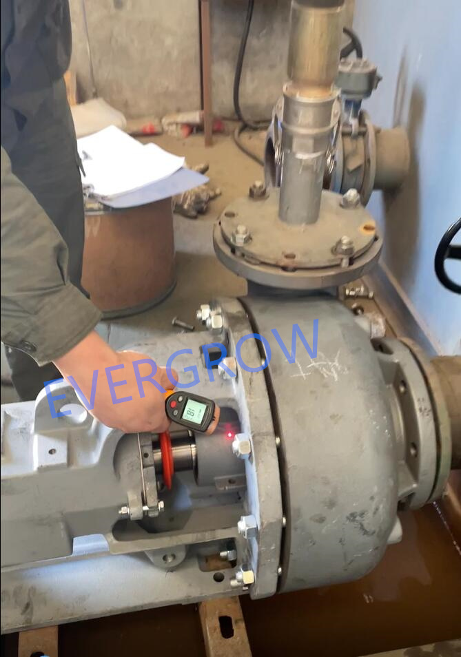 اختبار خارج المصنع لمضخة الطرد المركزي Magnum 6x5x11-5 evergrow