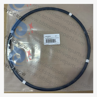 30119143 خاتم جليد