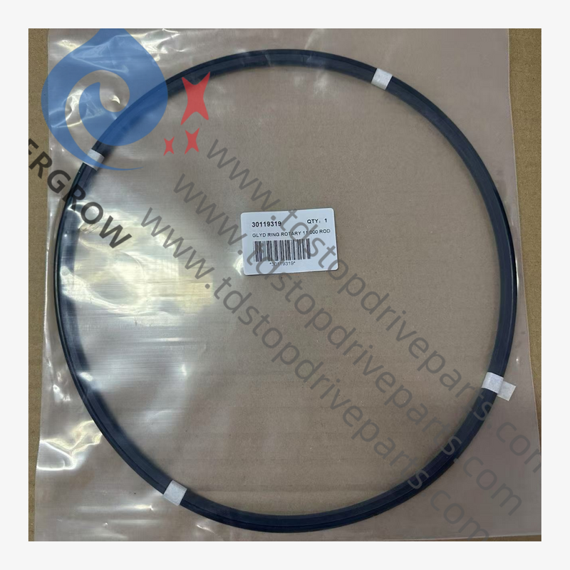 30119319 خاتم جليد