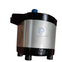 H01-1010-010 مضخة Hyd Gear 0.48 CI/Rev for Canrig Top Drive Rigly RELLAUL
